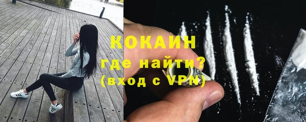 дживик Волоколамск