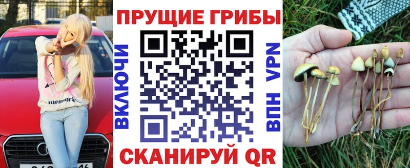 darknet наркотические препараты  Нея  Галлюциногенные грибы Psilocybine cubensis  дарнет шоп 
