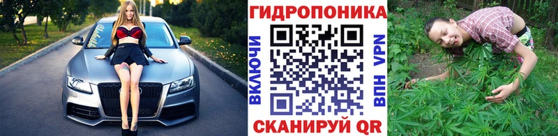 продажа наркотиков  Нея  МАРИХУАНА сатива 